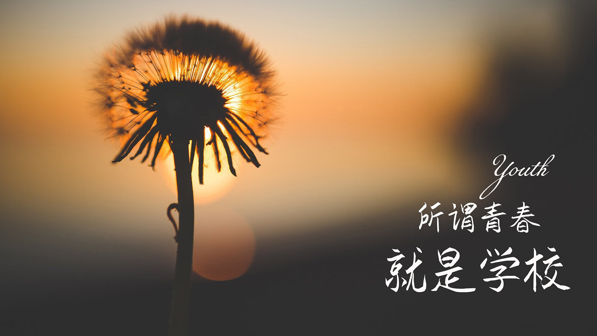 DOTA2社区Mod赛事：创意与趣味，电竞新可能？，dota2社区app