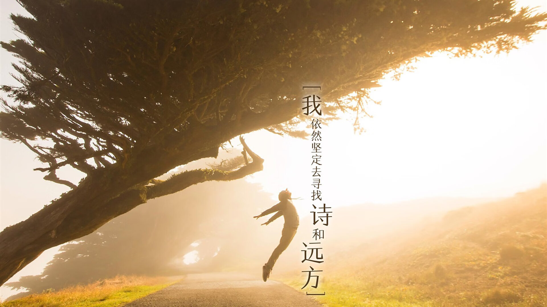俱乐部世界杯-产业链整合助推足球市场繁荣发展，足球相关产业