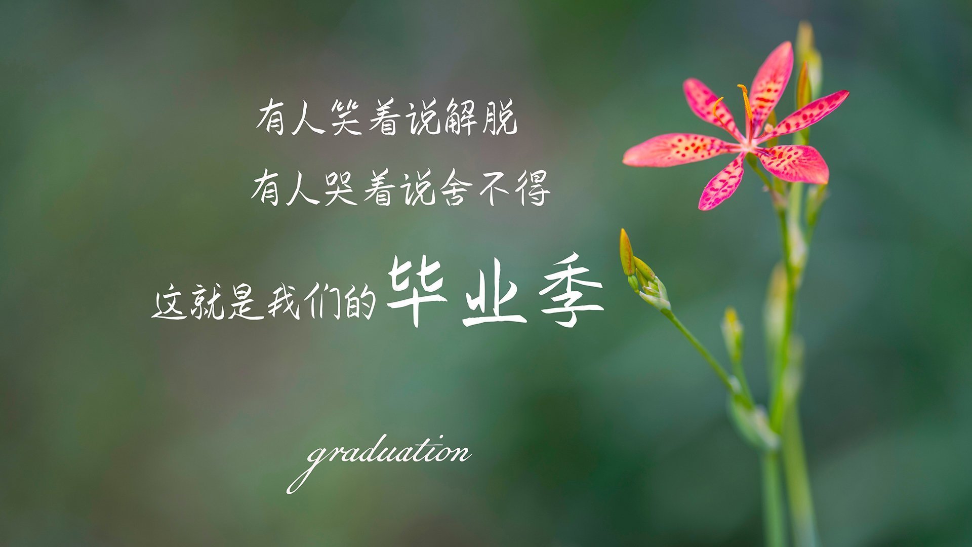 世俱杯直通-英超巅峰对决，精彩瞬间点燃比赛激情，英超争冠2021